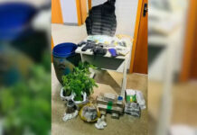 Três homens morrem em confronto com polícia em Valença, no baixo sul: ação apreende drogas e R$ 13 mil reais em espécie; celulares foram apreendidos