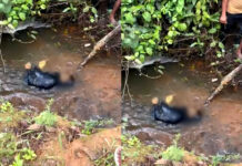 Jovem foi encontrado morto em rio na divisa entre Santo Antônio de Jesus e Muniz Ferreira: vítima já foi identificada e corpo foi encaminhado para DPT; Veja