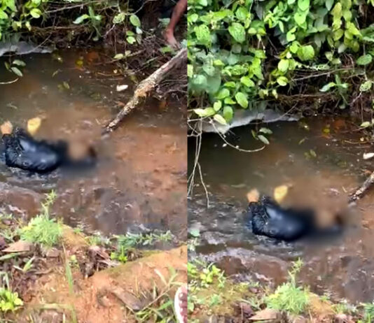 Jovem foi encontrado morto em rio na divisa entre Santo Antônio de Jesus e Muniz Ferreira: vítima já foi identificada e corpo foi encaminhado para DPT; Veja