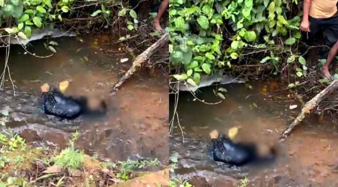 Jovem foi encontrado morto em rio na divisa entre Santo Antônio de Jesus e Muniz Ferreira: vítima já foi identificada e corpo foi encaminhado para DPT; Veja
