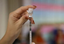 Vacinação diminuiu prevalência de HPV entre jovens; benefícios se estenderam até que não se imunizaram