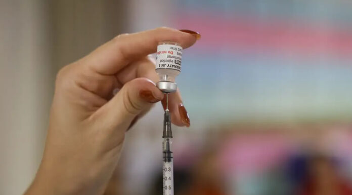 Vacinação diminuiu prevalência de HPV entre jovens; benefícios se estenderam até que não se imunizaram
